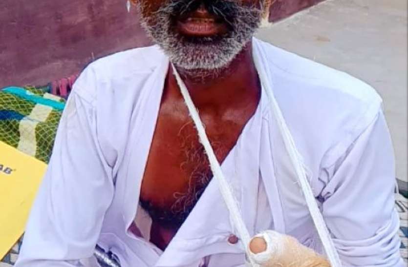 Wild animal attack on cattle farmer जंगली Swine को पशुपालक पर हमला करना पड़ा महंगा