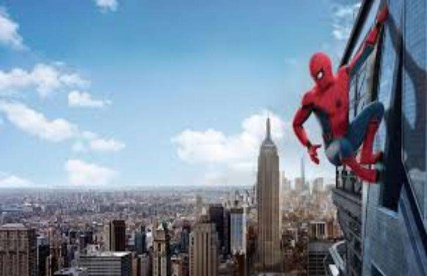 spider
