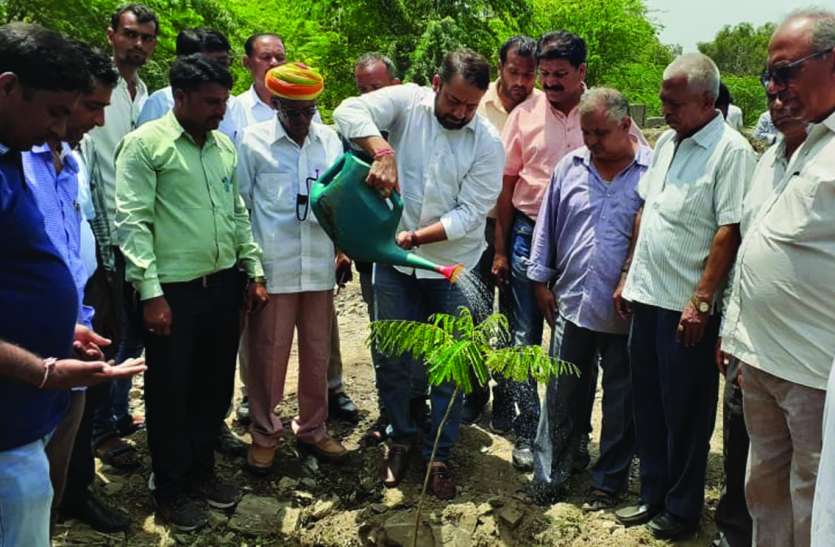 Planting campaign begins in Bhim assembly सघन पौधरोपण अभियान शुरू, पहले दिन रोपे सोलह हजार पौधे