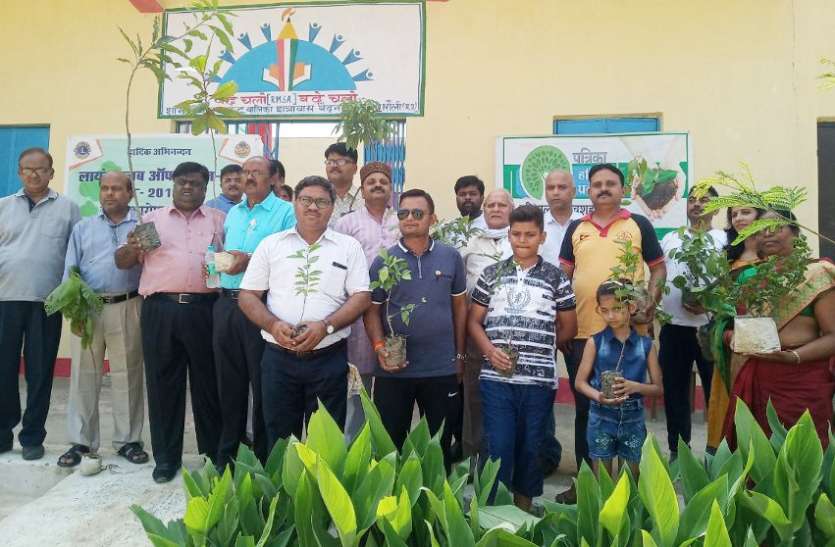 Patrika Harit Pradesh campaign: Plantation Kasturba hostel Singrauli पत्रिका हरित प्रदेश अभियान: पौधरोपण कर बेटियों ने लिया ऐसा संकल्प की सब रह गए अवाक