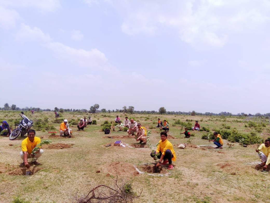 harit pradesh abhiyan me pahadi ko krege hara पहाडी को हरा भरा करने अभियान