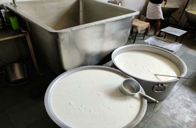 toxic milk supply in Madhya Pradesh 50 रुपए में तैयार हो रहा था 300 रुपए वाला मावा, 15 जिलों में चल रही नकली दूध की फैक्ट्रियां