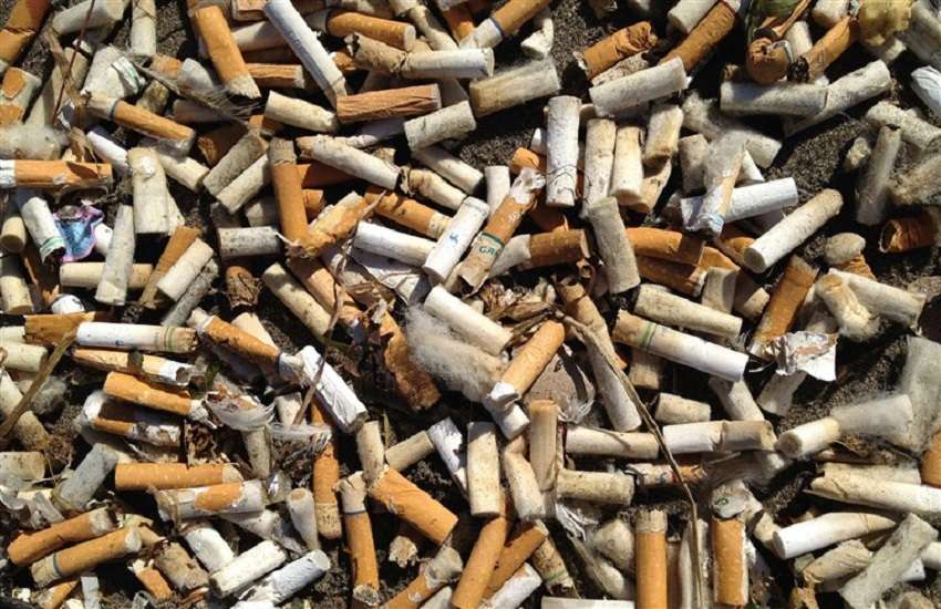 Cigarette butts