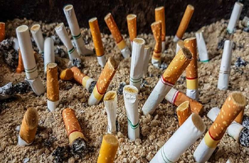 Cigarette butts प्लास्टिक से भी ज्यादा खतरनाक है सिगरेट, सेहत के साथ-साथ बिगाड़ रही है धरती का मिजाज