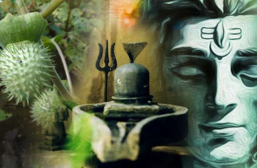 Lord Shiva Favourite Datura Is Beneficial For Many Diseases,know Usage - शिव  का प्रिय धतूरा किस्मत चमकाने में ही नहीं बीमारियों को दूर करने में भी  मददगार, जानें इसके 10 फायदे |