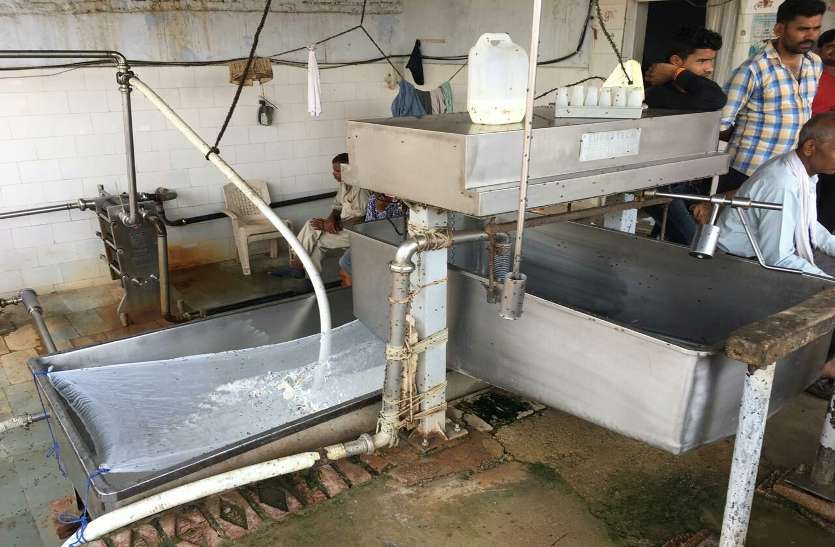 toxic milk supply in Madhya Pradesh