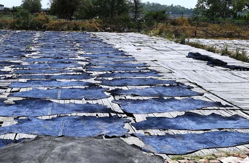 leather industry going to west bengal in up hindi news Leather Industry Kanpur News बेरूखी के चलते बंगाल में जलवा बिखेरेगा कानपुर का चमड़ा