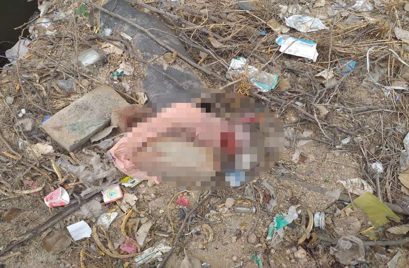 newborn body found in bikaner नाले में मिला नवजात का शव