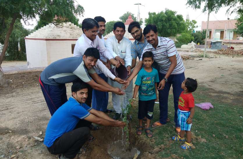 hariyalo rajasthan- plants planted in bikaner पौधरोपण कर दिया हरियाली का संदेश