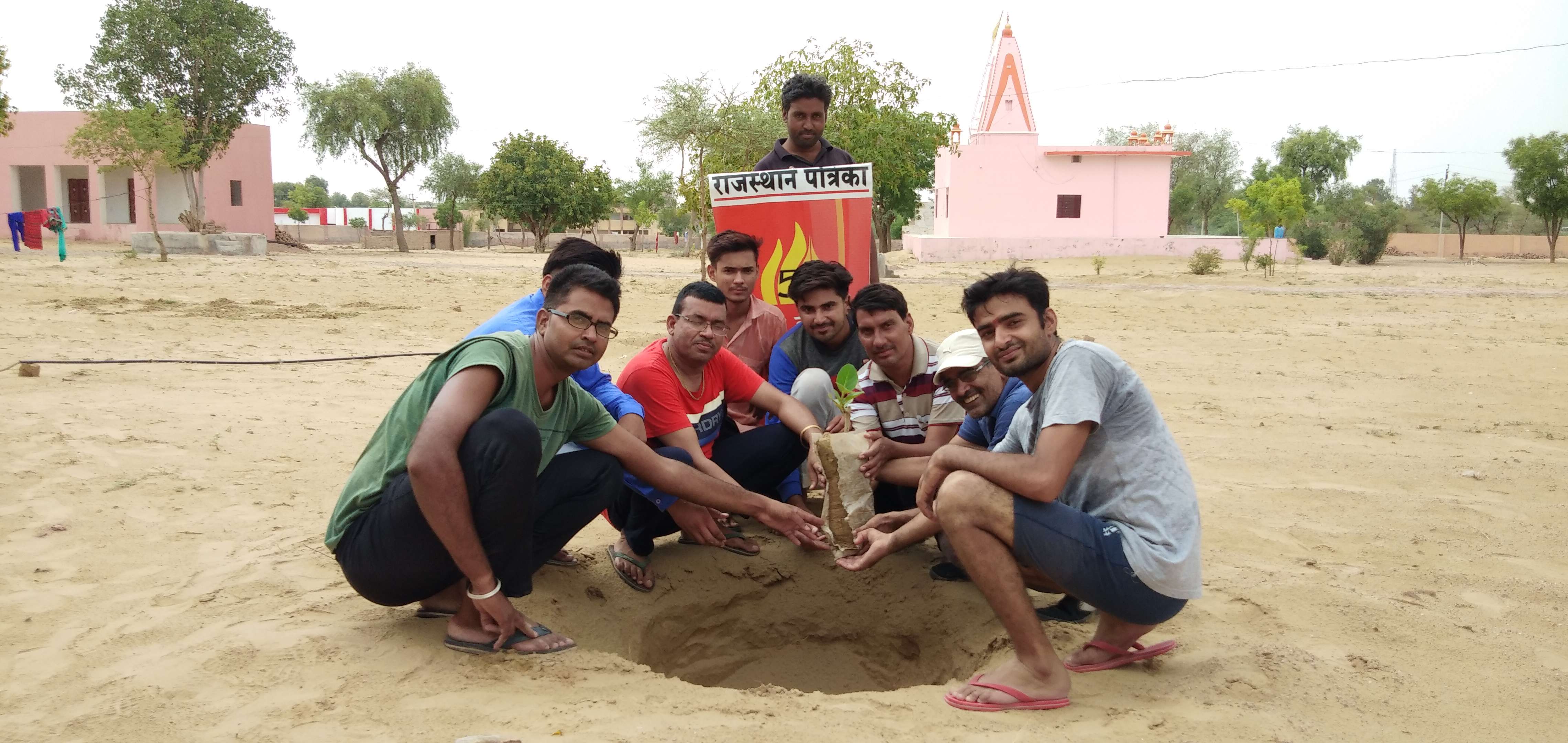 hariyalo rajasthan- plants planted in bikaner