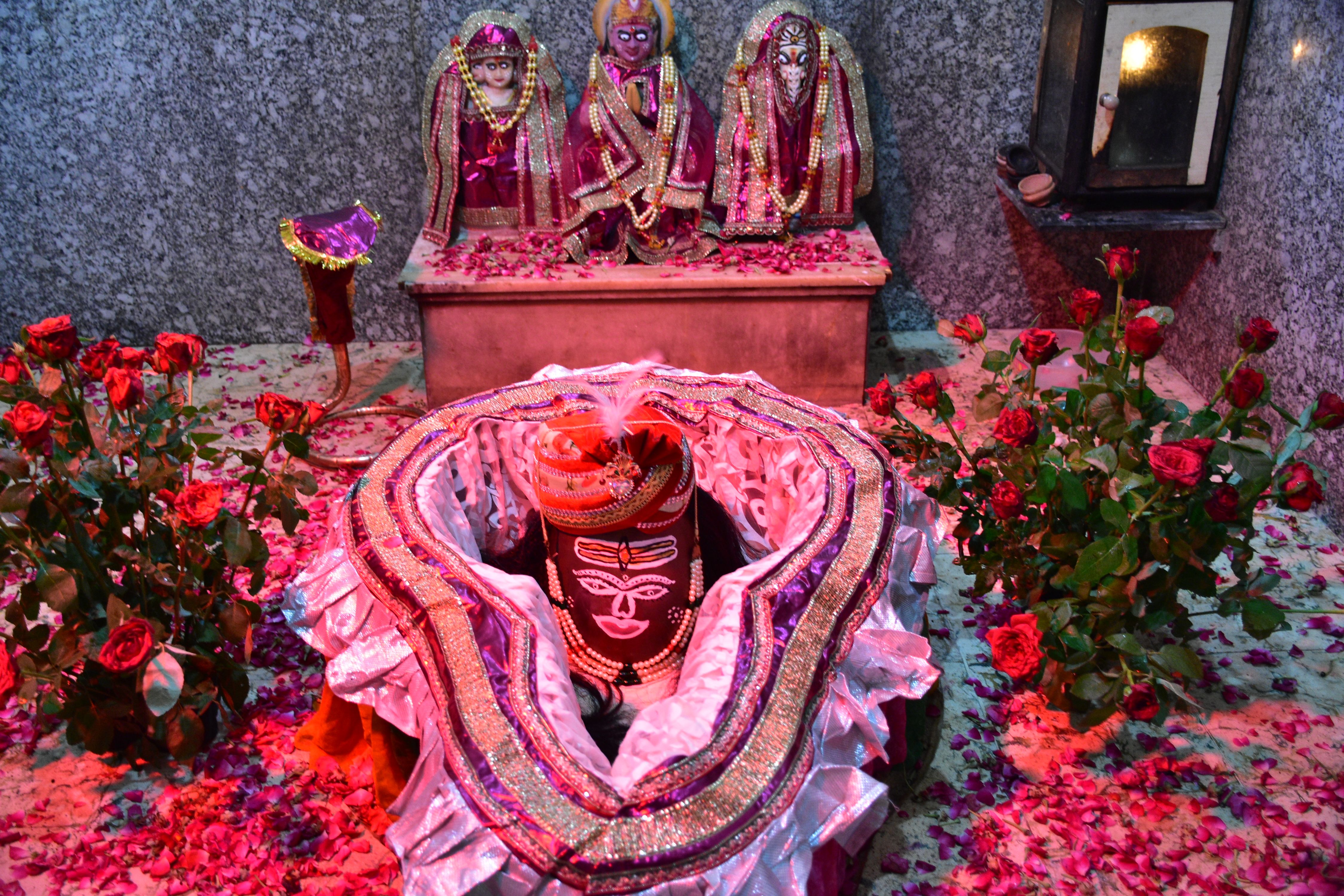 bikaner first sawan somwar shiva pooja सावन का पहला सोमवार : शिवालयों में उमडे़ श्रद्धालु, अलसुबह से रात चले अभिषेक-पूजन के दौर, हर हर महादेव की गूंज