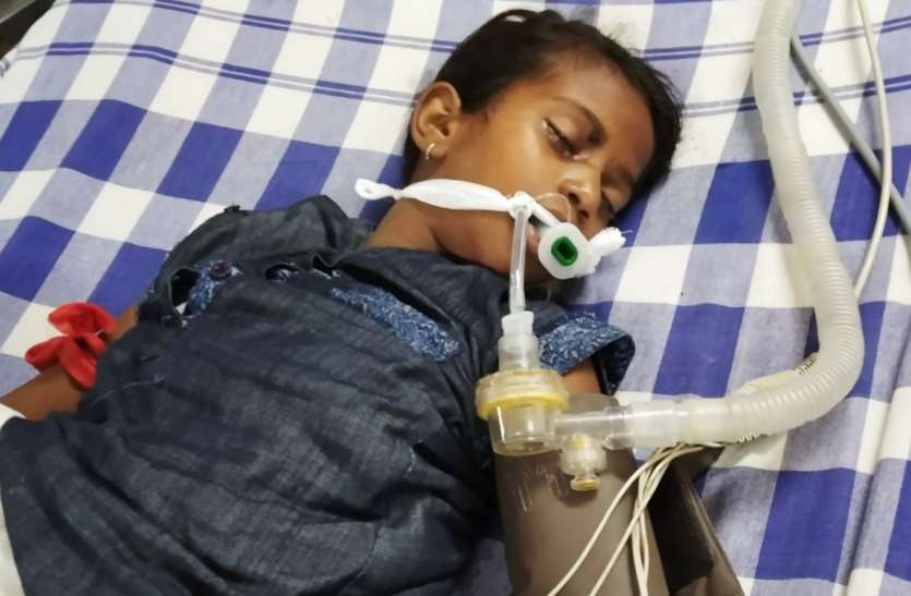 Snake Bite रात को खाना खाकर सोए बच्चों को सांप ने डसा, सुबह इकलौते भाई की मौत, बहन डीप कोमा में, परिवार में मचा कोहराम