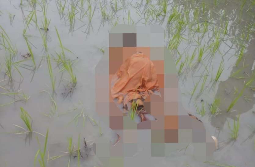 Woman dies in farm in Tarun area of Ayodhya Ayodhya : धान के खेत में पानी के कारण हुआ कीचड़ बना एक महिला की मौत का कारण