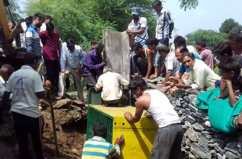 what-panther-understood-was-hyna जिसे पैंथर समझ रहे थे, वह निकला जरख