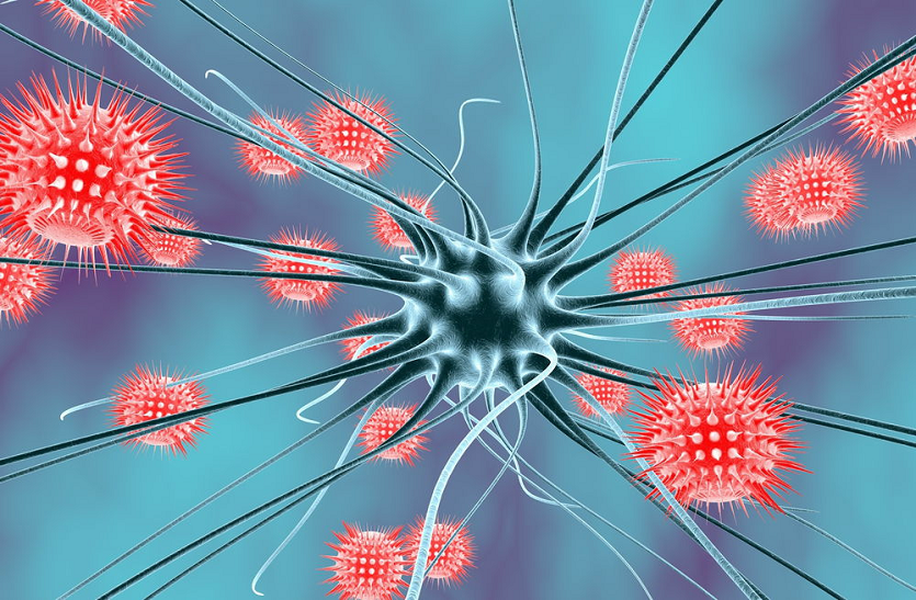 Japanese Encephalitis असम सरकार इस बीमारी के इलाज के लिए देगी एक लाख रुपए