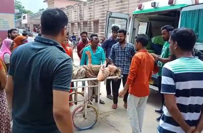 French Tourists Injured In A Road Accident In Sirohi सड़क हादसे में गंभीर रूप से घायल हुए फ्रांसीसी पर्यटक, अज्ञात वाहन ने मारी टक्कर