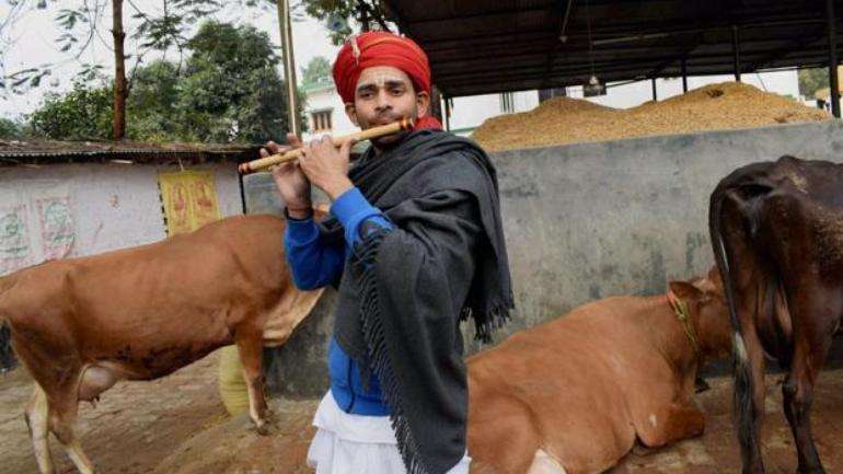 tej