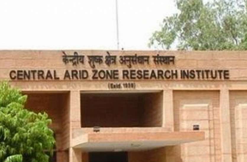 cazri Jodhpur: काजरी व आफरी मिलकर बनाएंगे लूणी नदी की डीपीआर