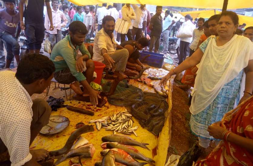 pratibandh मोहगांव बाजार में जब्त की गई 62 किलोग्राम मछली