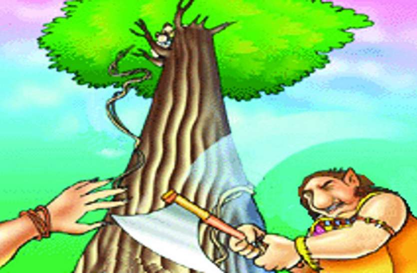 cg news रूख-राई घलो साधु-संत हे