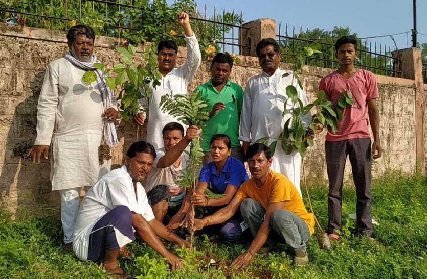 The Buddha World's members, Jawahar Nagar '२० किलो धूल सोखता है सामान्य पेड़'
