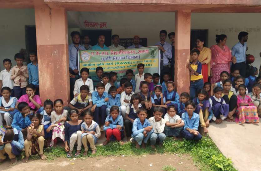 Planting in Amdari Primary School पेड़-पौधे जीवन का अहम हिस्सा, इनके बिना जीवन अधूरा