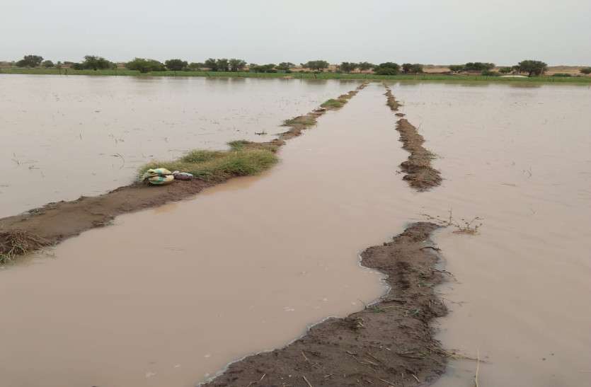 Weather मौसम विभाग ने जारी किया अलर्ट, विद्यार्थियों की सुरक्षा के लिए सावधानी बरतने के निर्देश