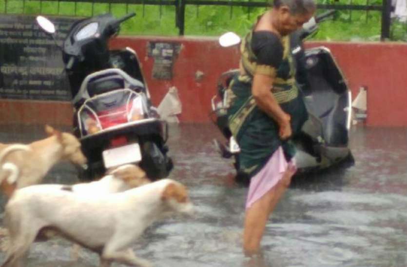 Heavy Rain Weather News: जरा सी बारिश होती है तो दिल सोचता है कि कहीं घर में न घुस जाए पानी, देखें वीडियो