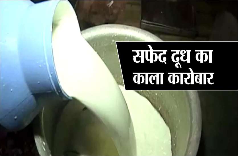 milk and paneer