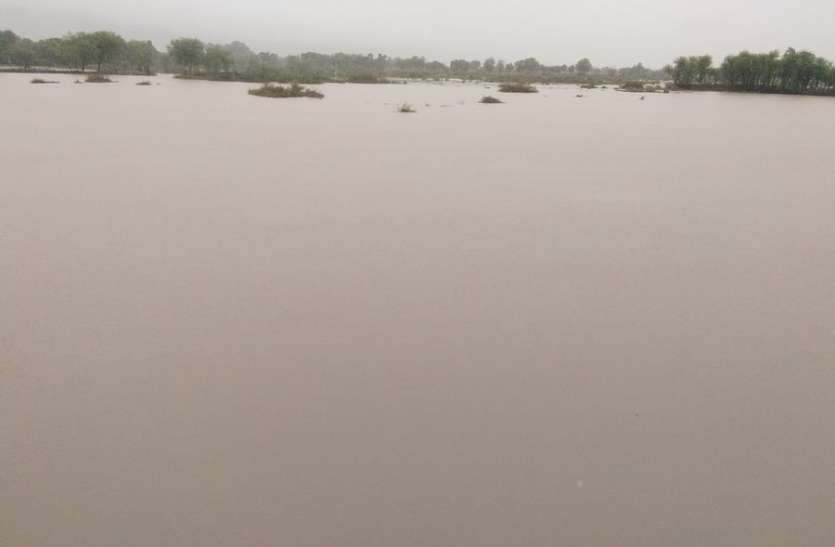 Heavy Rain दौसा व सैंथल में आधा फीट बरसा पानी, चार नदियों व आधा दर्जन बांधों में आया पानी