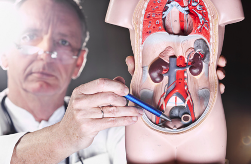 prostate gland Prostate Gland - हार्मोनल बदलाव से बढ़ता ग्रंथि का आकार
