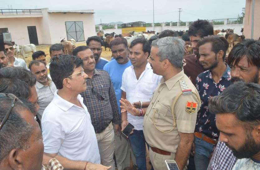 Cows got dead at Kanji House कांजी हाउस में मृत मिली गायें