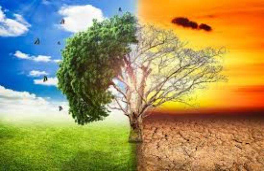 climate