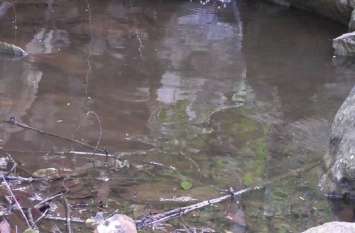 Dambha River: Desi Engineering Is Amazing, River Turned Alive Dambha River: देसी इंजीनियरिंग का कमाल, नदी को किया जिंदा
