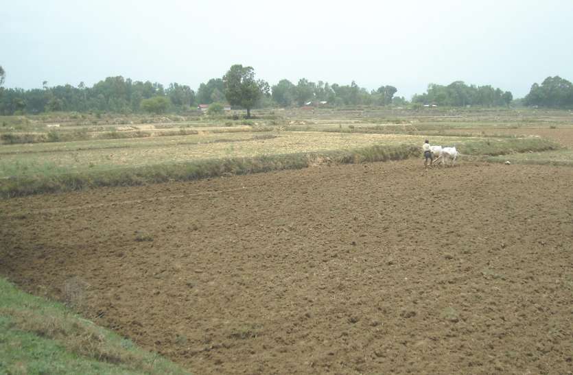 Decreased rainfall in district जिले में मंडराया सूखे का बादल, प्रदेश में सामान्य से कम वर्षा में अनूपपुर पहले