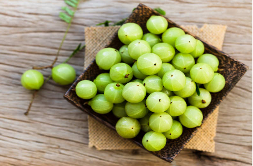 amla-will-cure-mouth-ulcers-and-stomach-disorders आंवला ठीक करेगा मुंह के छाले व पेट के रोग