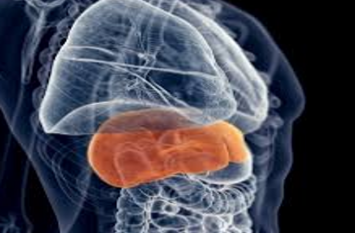 World Hepatitis Day: 70 lakh people suffer from hepatitis B and C in u प्रदेश में करीब 70 लाख लोग हेपेटाइटिस ‘बी’ और करीब 12 लाख लोग हेपेटाईटिस ‘सी’ से पीड़ित