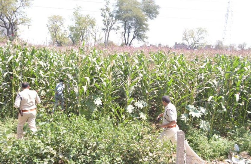 Punjab Drug Issue