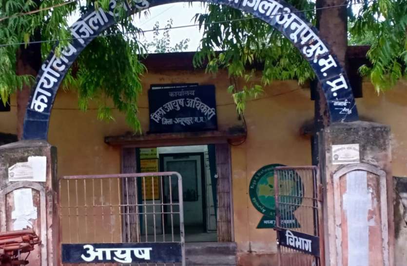 Not built building After allocation of land and money औषधालय बंद कर चलाया जा रहा जिला कार्यालय, जमीन और पैसों के आवंटन के बाद भी भवन को तरस रहा जिला आयुष कार्यालय