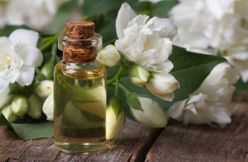 jasmine-flowers-leaves-and-oils-are-beneficial-in-many-diseases कई रोगों में फायदेमंद है चमेली के फूल, पत्ते व तेल