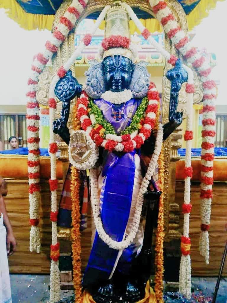 Athi Varadar: the deity can now be worshipped in standing pose | अत्तिवरदर  प्रकाट्य उत्सव- अब खड़ी मुद्रा में होंगे दर्शन | Patrika News