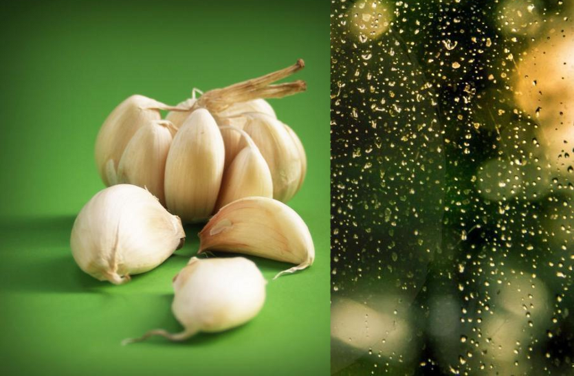 Benefits Of Garlic In Rainy Season - ये चीज खाने से पुरूषों को होते हैं  चमत्कारी फायदे! 5 दिन में दिखने लगेगा असर | Patrika News