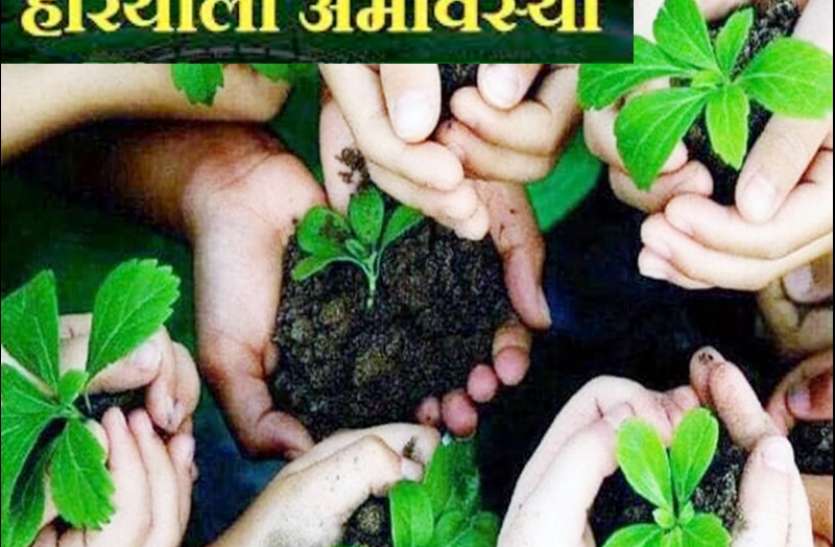 hariyali amavasya 2019 Hariyali amavasya: आज रोपें ये विशेष पौधा, सालभर घर आएगी खुशहाली और पैसा