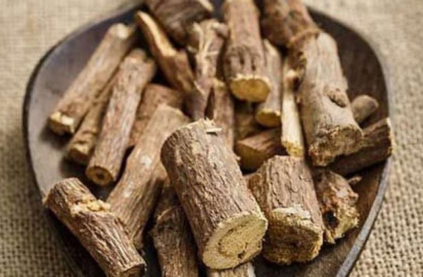Indian scientists finds Mulethi effective in Covid-19 treatment, research published भारतीय वैज्ञानिकों का बड़ा दावा, कोरोना के इलाज में 'मुलेठी' कारगर