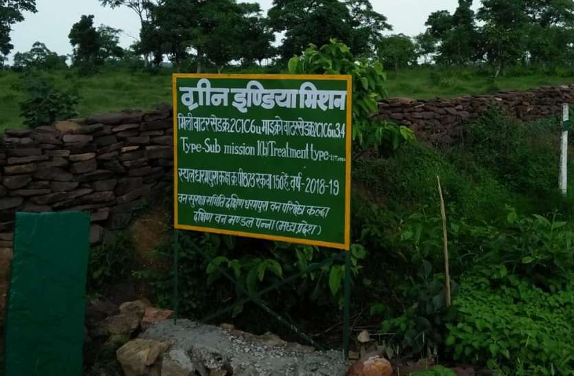 Disturbances in Special Green India Project in this district of MP, know the whole case एमपी के इस जिले में विशेष ग्रीन इंडिया प्रोजेक्ट में गड़बड़ी, जानिए पूरा मामला