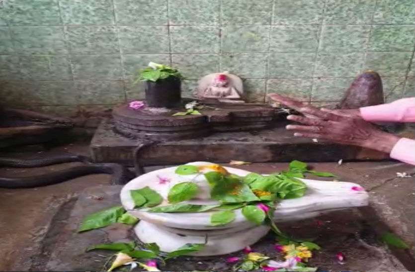 Sawan