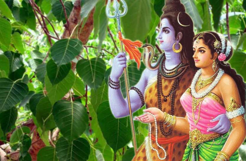 Hariyali Teej 2019 हरियाली तीज पर करें ये उपाय, मिलेगा मनचाहा फल, होगी धन की प्राप्ति