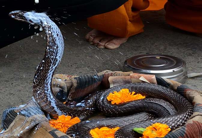 nag panchami 2019
