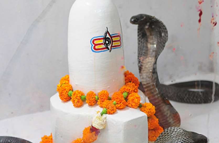 nag panchami 2019 Nag panchami 2019: नाग देवता की पूजा करते समय जरूर करें इन मंत्रों का जप, पूर्ण होगी पूजा