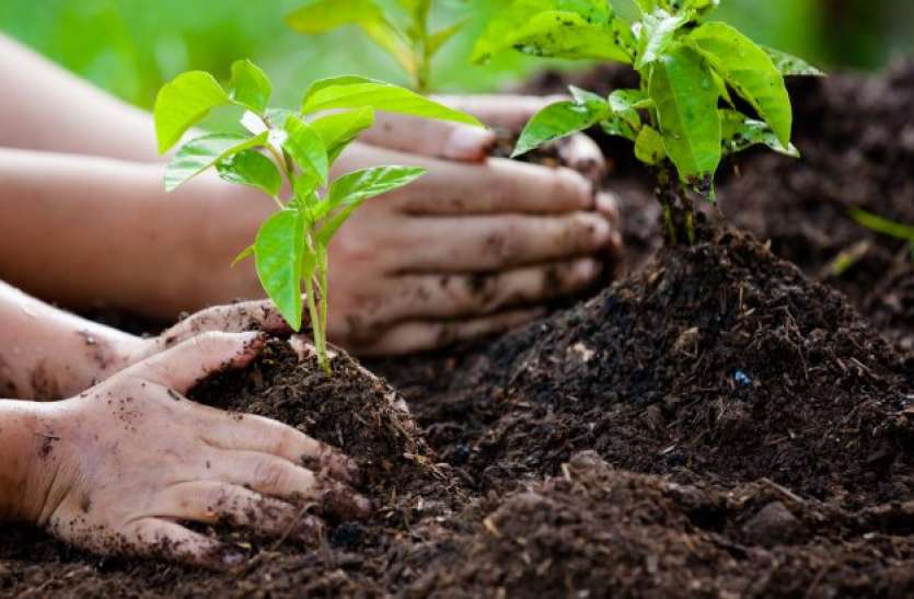 tree इस स्कूल में पढ़ना है तो क्लास में एंट्री लेने से पहले स्टूडेंट्स और टीचर को करना होगा 'ये' काम